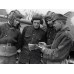 Пуговица Войска Польского, обр. 1943 г., Вариант В, диаметр 22 мм., Хаки.